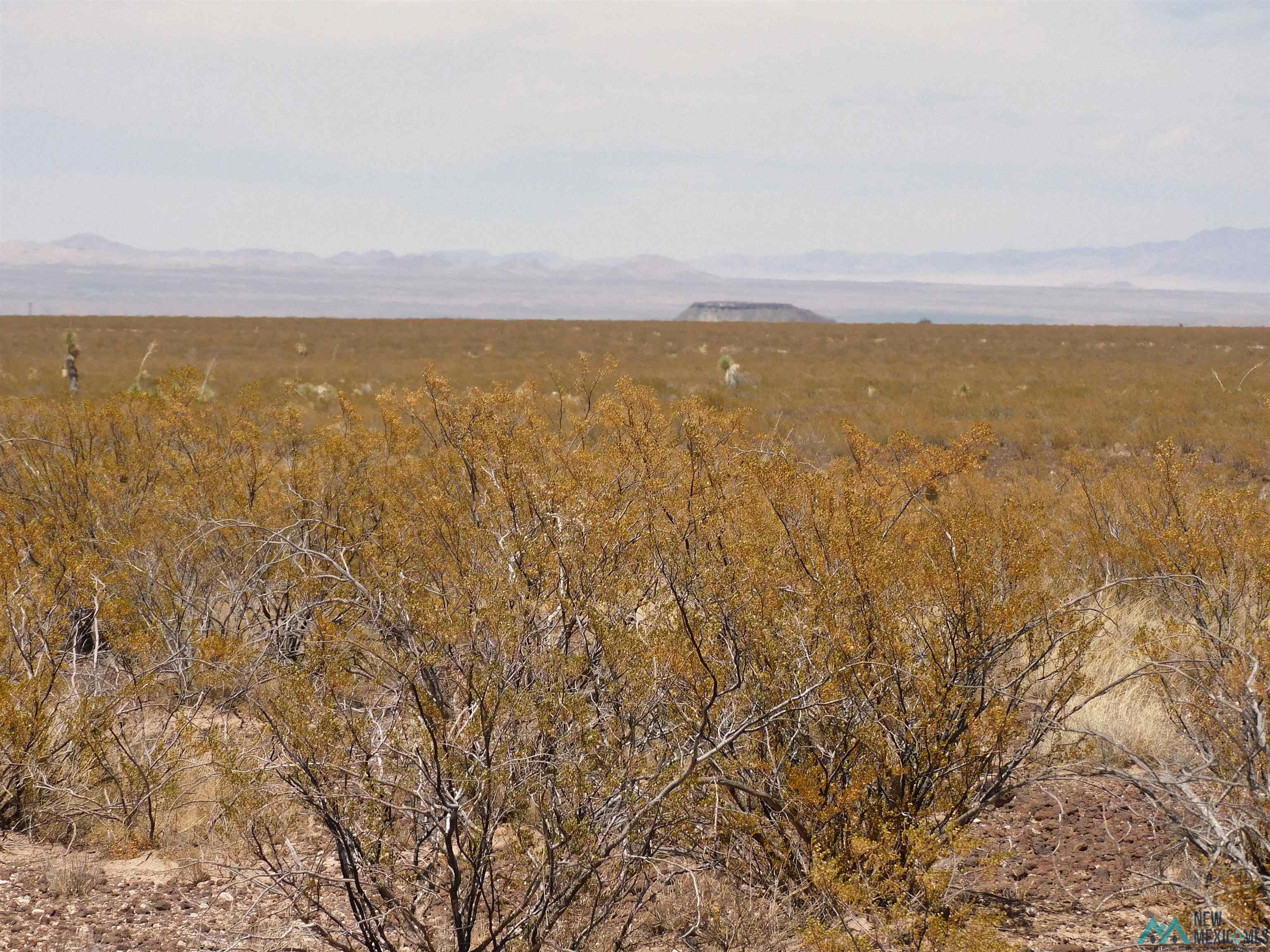 35 Armendariz Road, Truth Or Consequences, New Mexico image 28