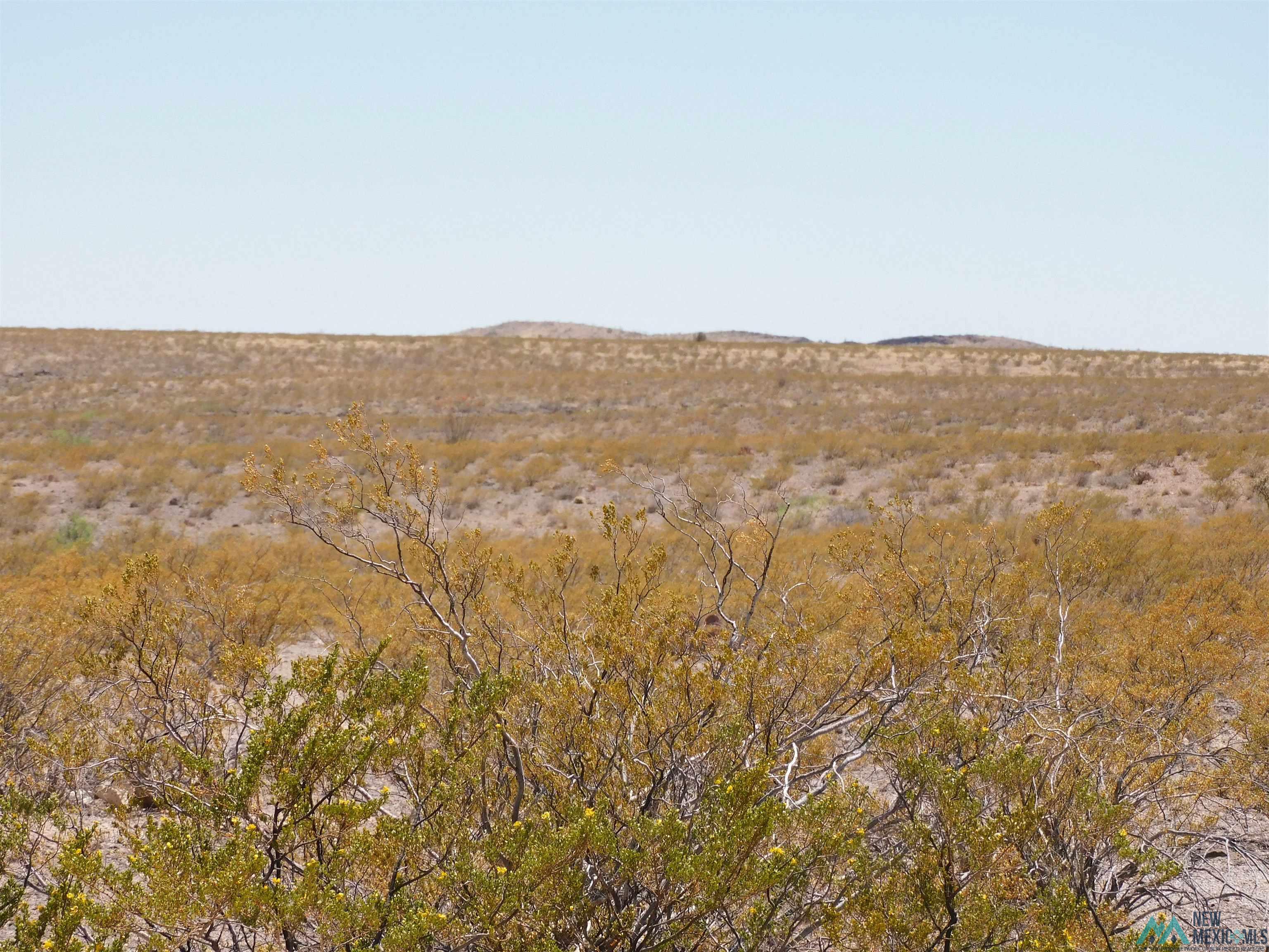 35 Armendariz Road, Truth Or Consequences, New Mexico image 5