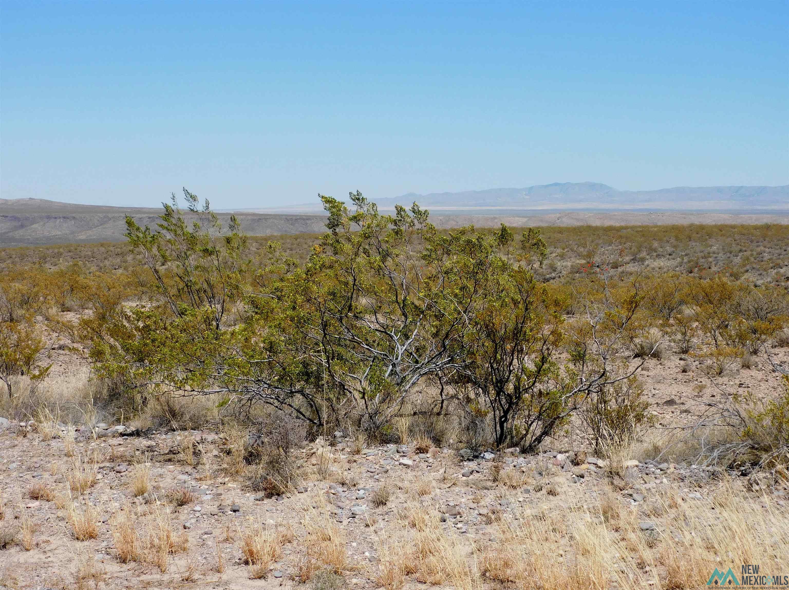 35 Armendariz Road, Truth Or Consequences, New Mexico image 13