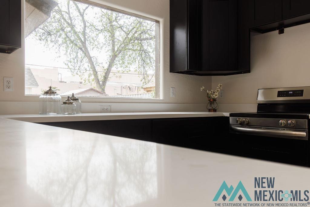 1003 Albert Street, Carlsbad, New Mexico image 14