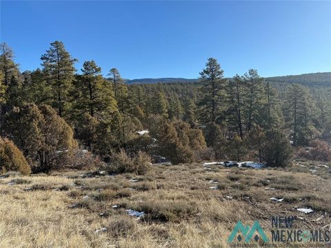 Vacant Land For Sale - Unit 1 Tr-9b Ponderosa Drive<br/> Rio Arriba County, Chama, NM 87520