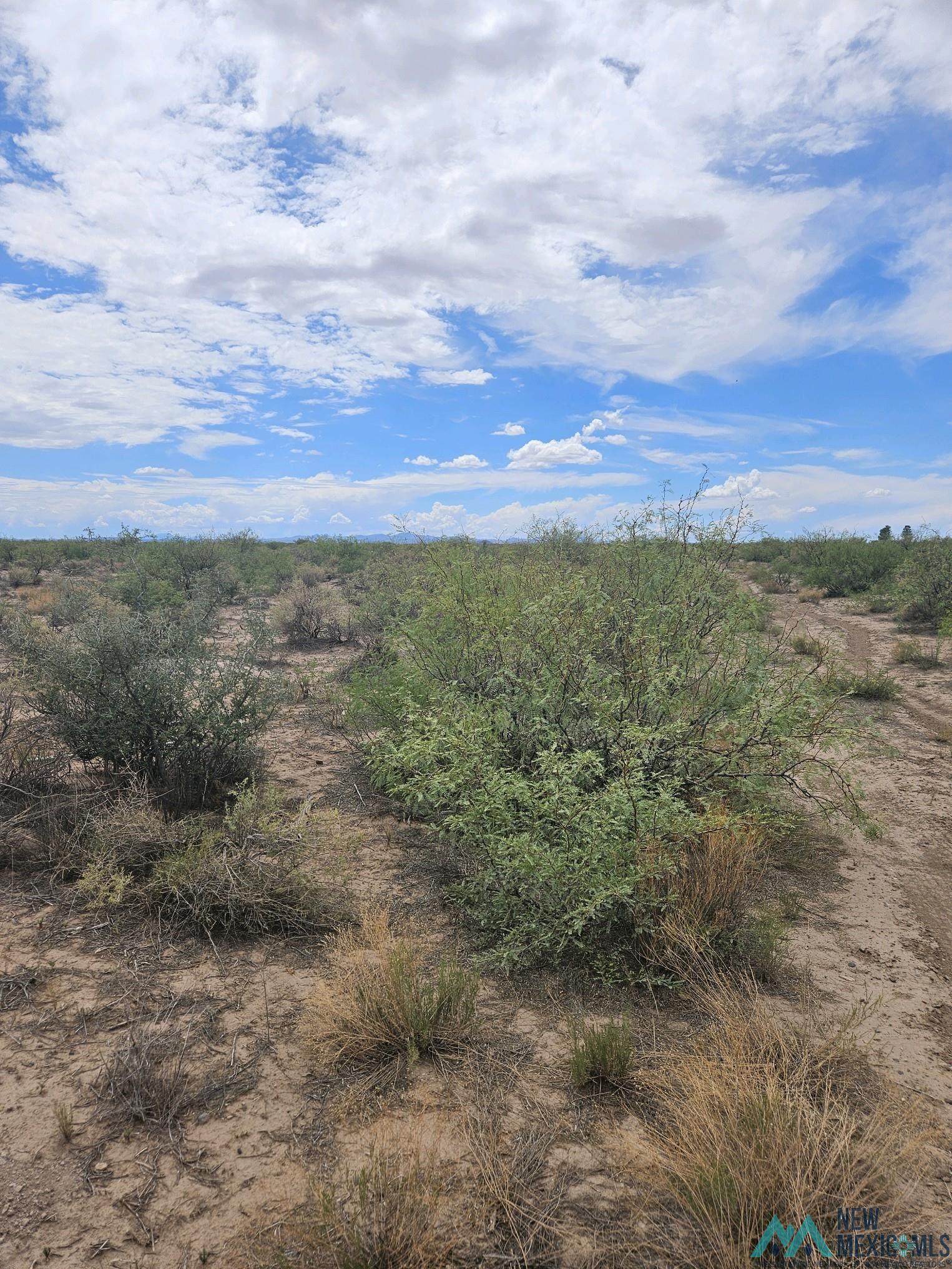 XXX Purple Sage Rd Sw, Deming, Texas image 2