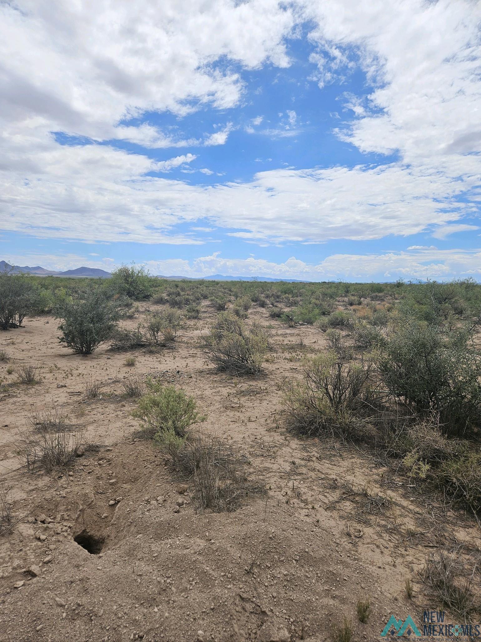 XXX Purple Sage Rd Sw, Deming, Texas image 3