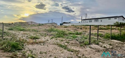 Vacant Land For Sale - W OF 3006 Carver Street<br/> Eddy County, Carlsbad, NM 88220
