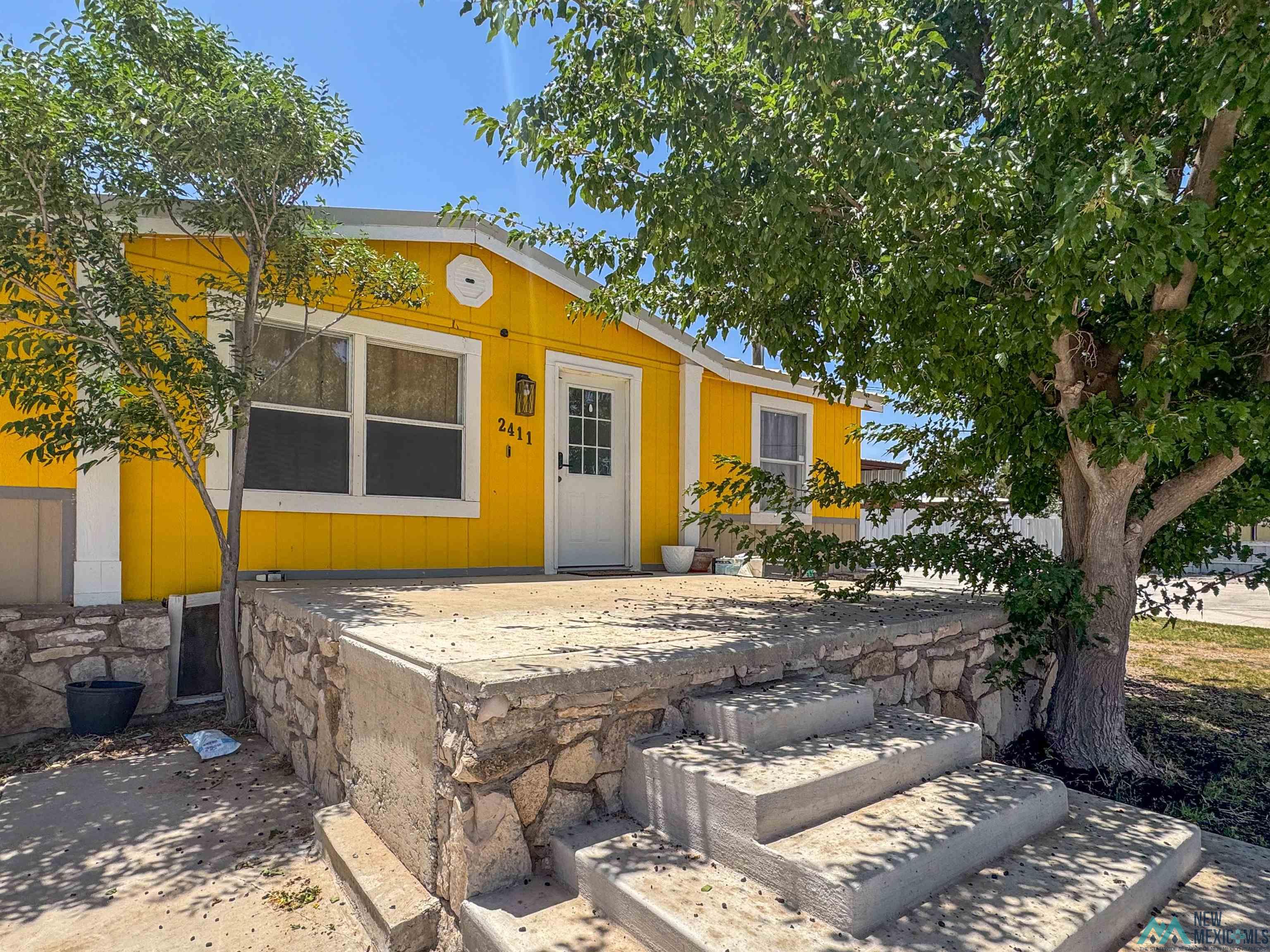 2411 W Socorro Road, Carlsbad, Texas image 3