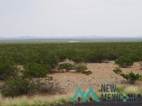 Vacant Land For Sale - 00 Eastside Street<br/> Columbus, NM 88029
