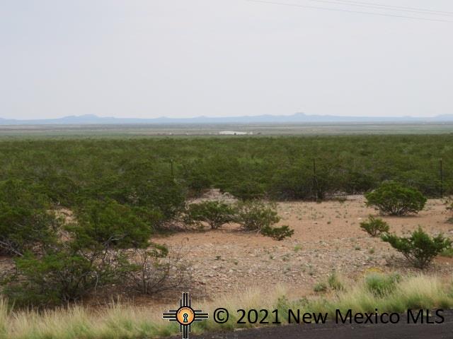 00 Eastside Street, Columbus, New Mexico image 1