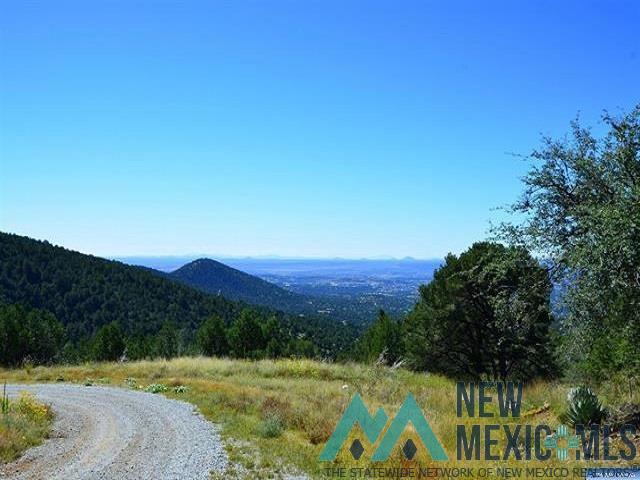 Darling Bell, Silver City, New Mexico image 11