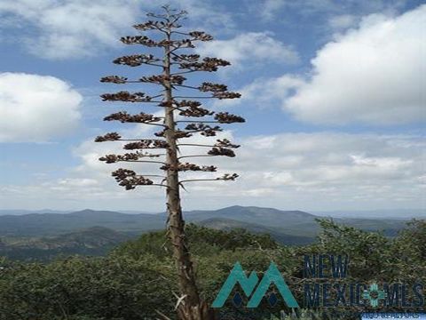 Vacant Land For Sale - Darling Bell<br/> Silver City, NM 88061