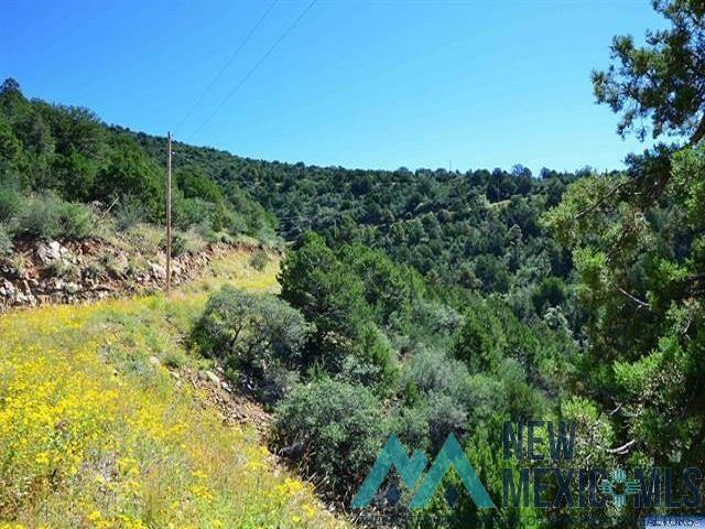 Darling Bell, Silver City, New Mexico image 26