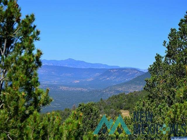 Darling Bell, Silver City, New Mexico image 25