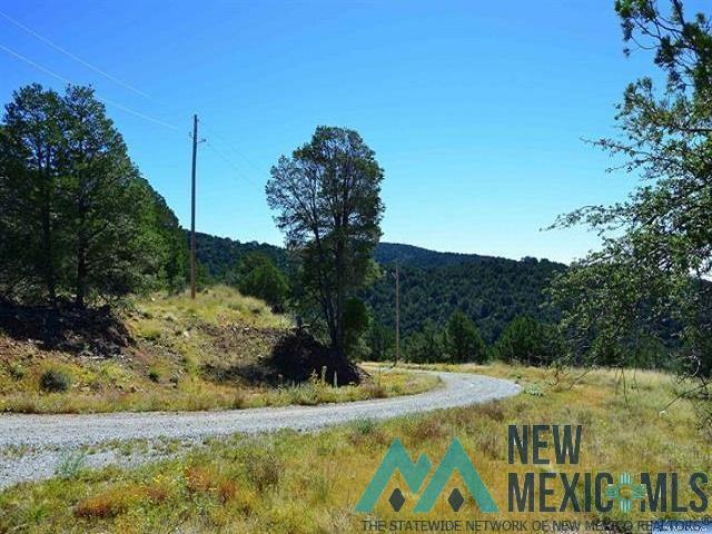 Darling Bell, Silver City, New Mexico image 17