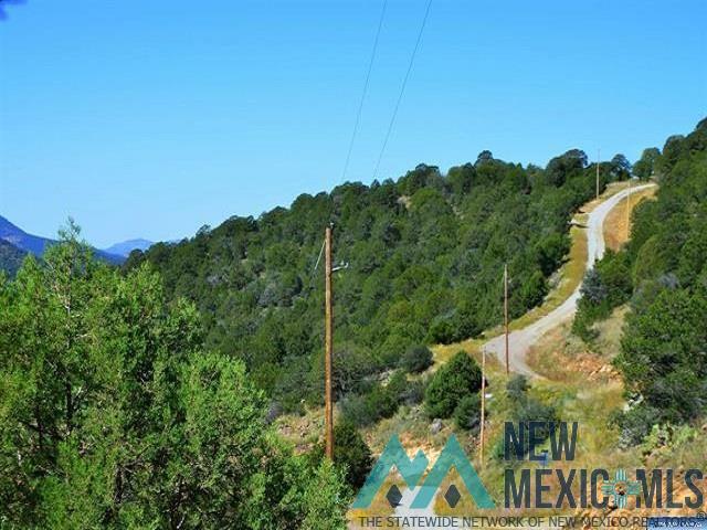 Darling Bell, Silver City, New Mexico image 19