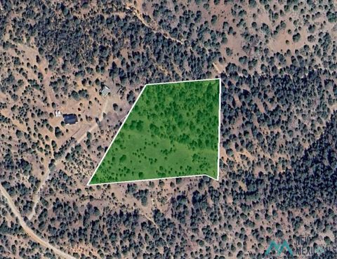 Vacant Land For Sale - Lampbright Road<br/> Grant County, Hanover, NM 88041