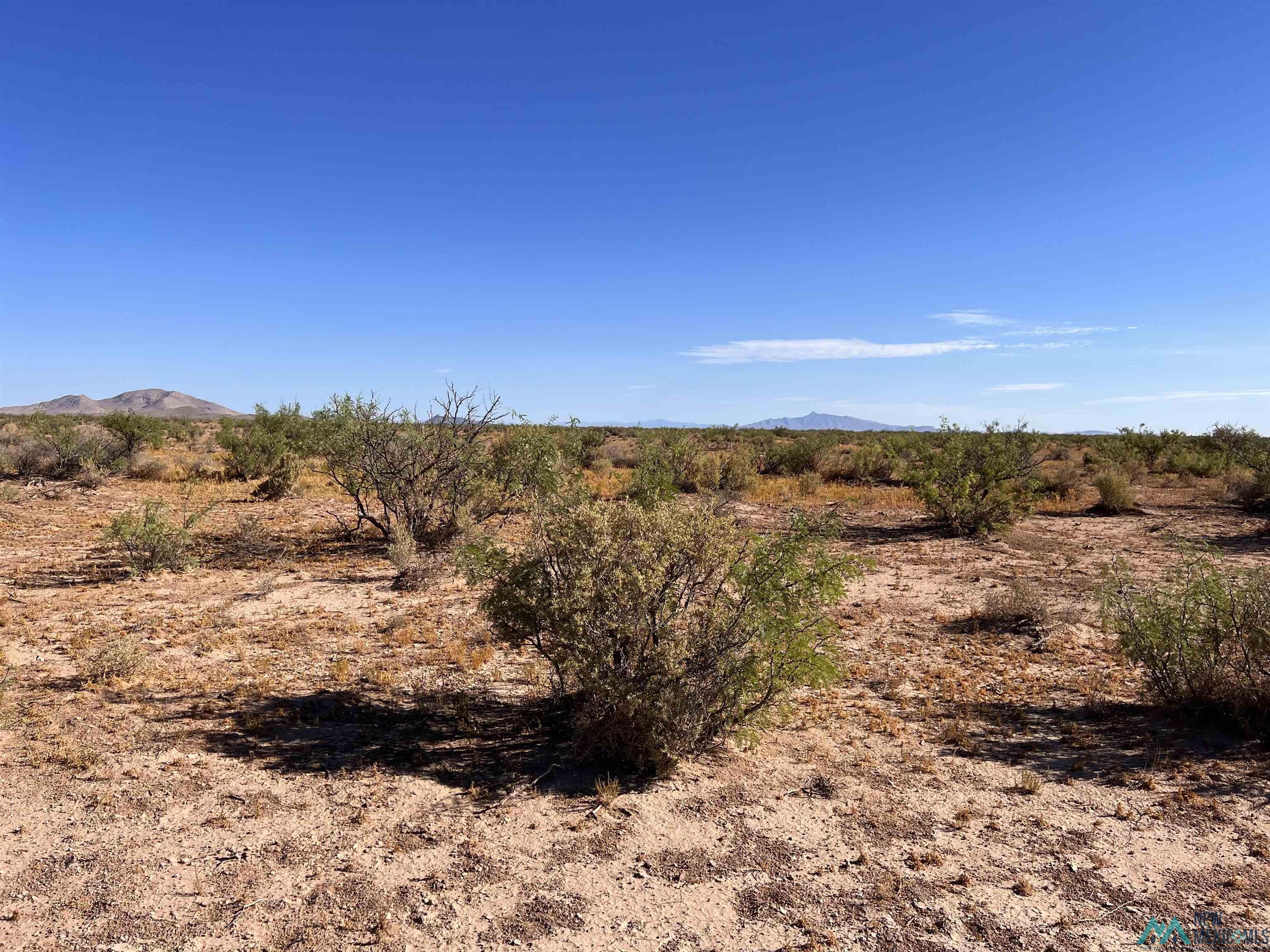 000 SW Cenaroca Road, Deming, New Mexico image 2