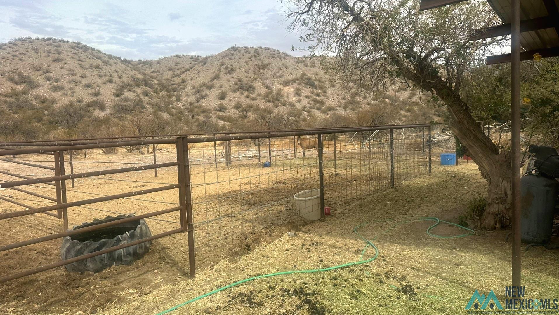 15 Wild Sage Road, Caballo, New Mexico image 3