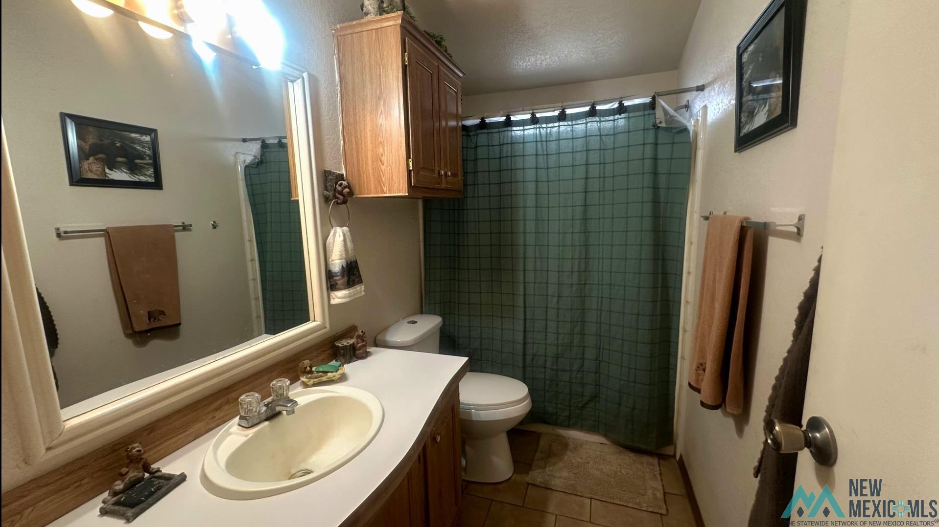 15 Wild Sage Road, Caballo, New Mexico image 14