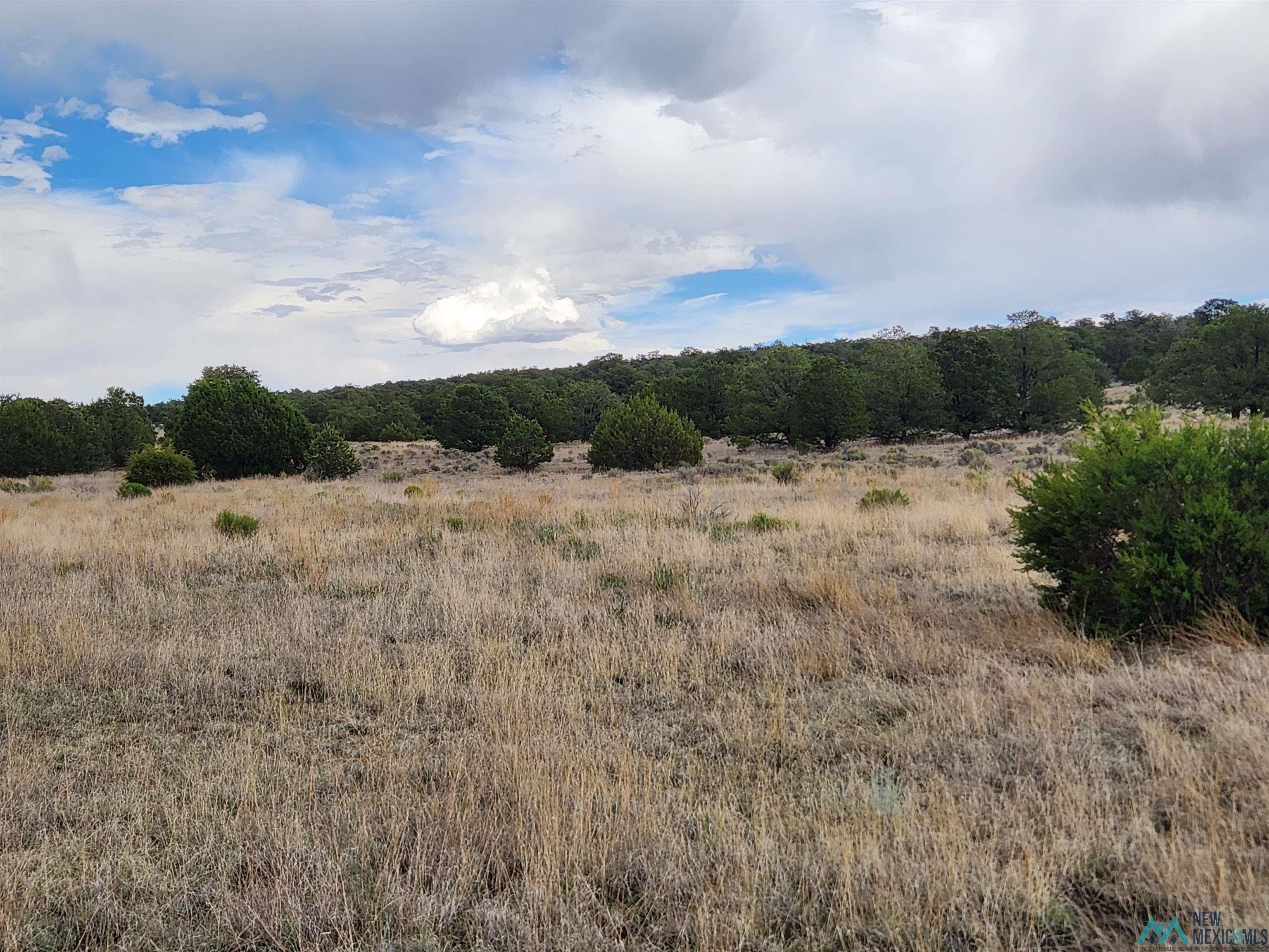 14 Conifer Road, Pie Town, New Mexico image 9