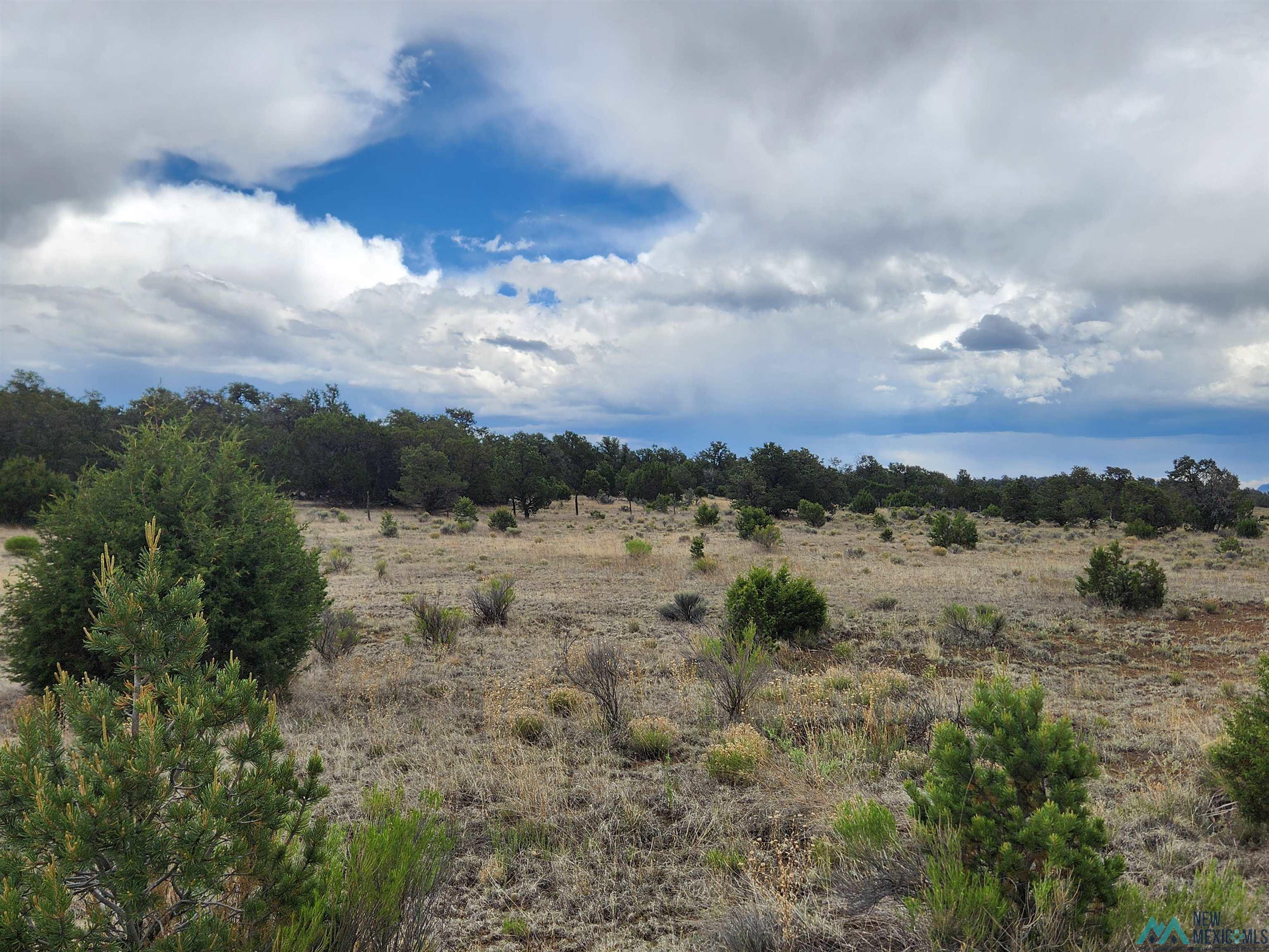 14 Conifer Road, Pie Town, New Mexico image 1