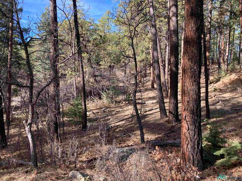 Vacant Land For Sale - TBD Serenity Drive<br/> Rio Arriba County, Chama, NM 87520