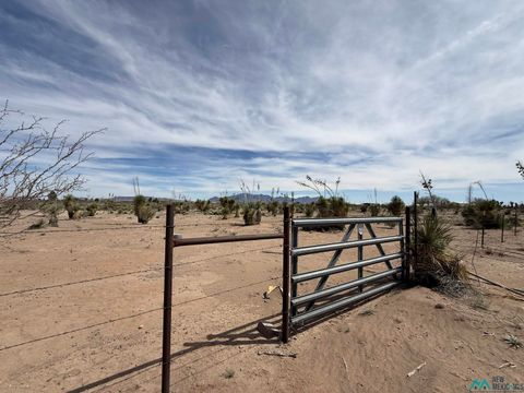 Vacant Land For Sale - 4655 SW Hermanas Grade Road<br/> Luna County, Deming, NM 88030