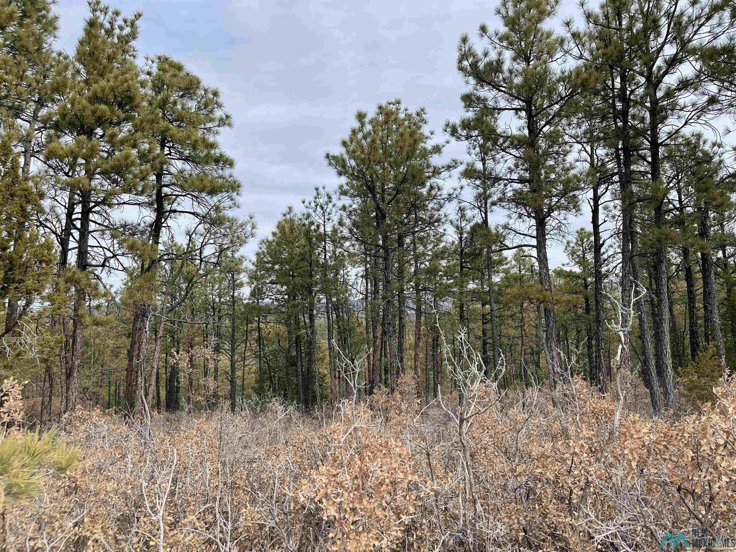 128 Bagdad Drive, Timberon, New Mexico image 1