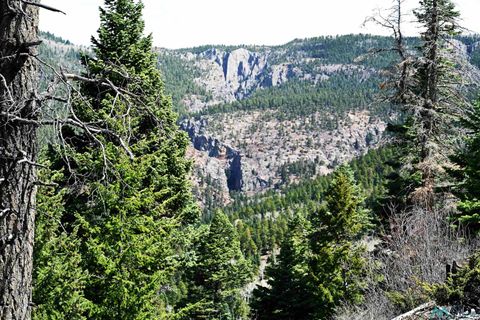 Vacant Land For Sale - 00 Ticonderoga Drive<br/> Rio Arriba County, Chama, NM 87520