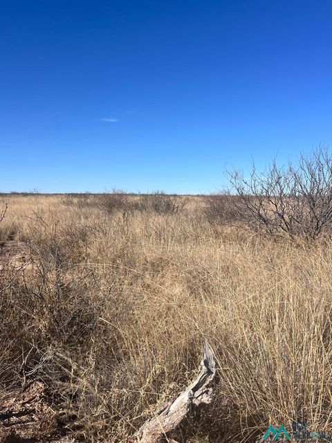 Vacant Land For Sale - 00 Spokane Road<br/> Chaves County, Lake Arthur, NM 88253