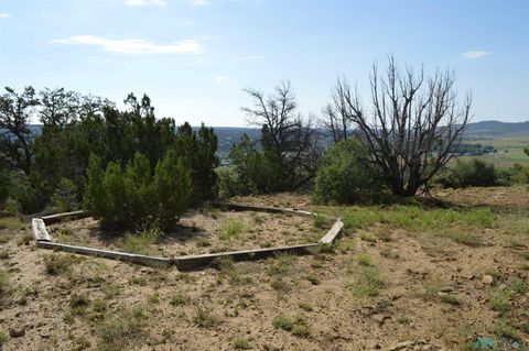 Vacant Land For Sale - 5 ACRES Tbd Asay Road<br/> Mckinley County, Ramah, NM 87020