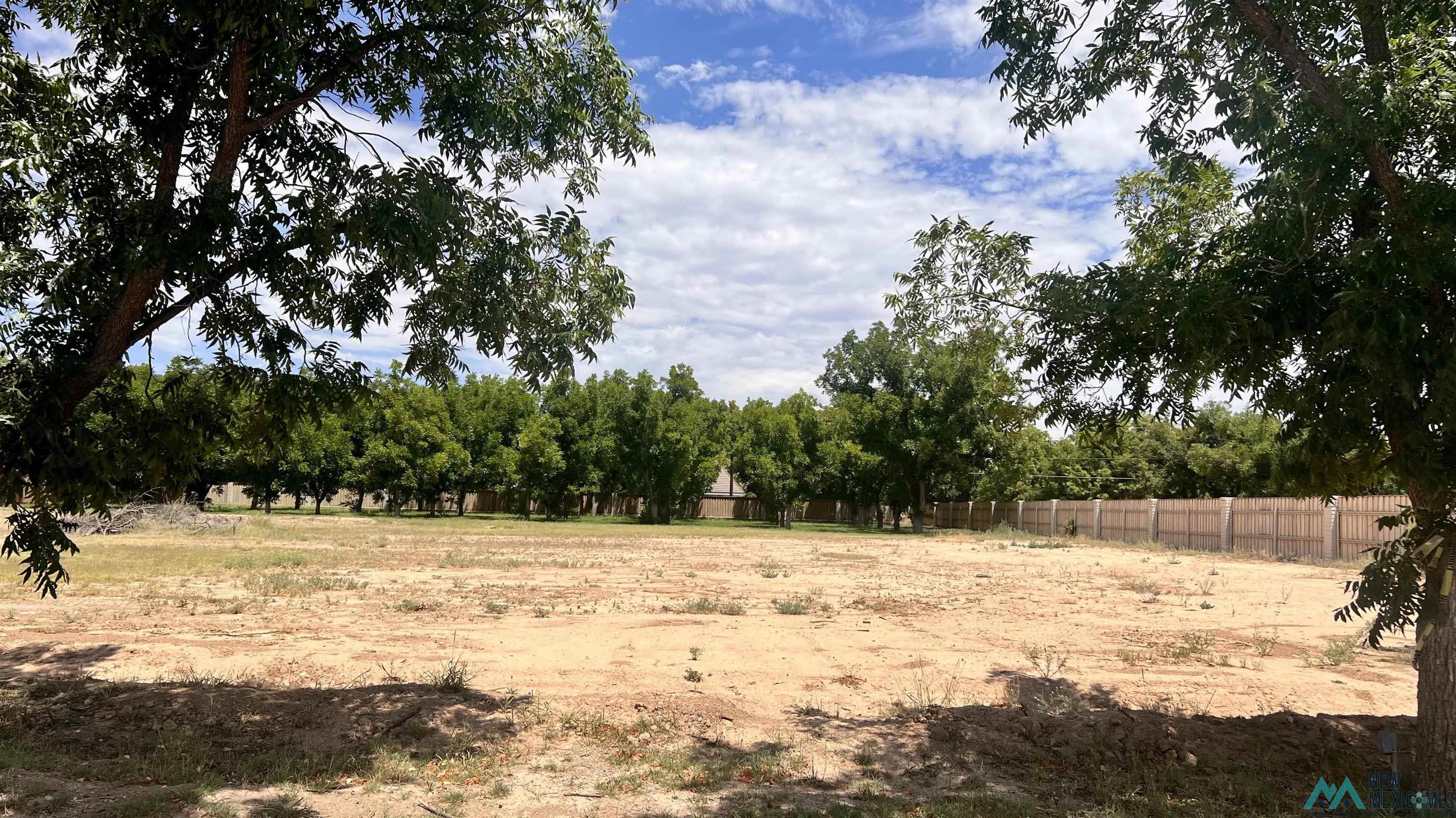 Lot 1 W 27th Street, Roswell, New Mexico image 5