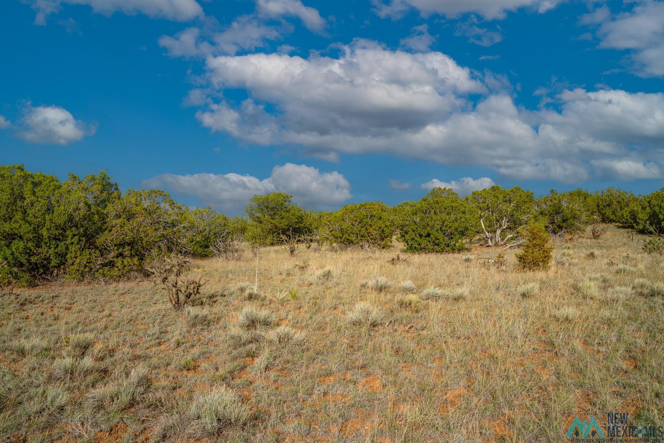 28 Old Road, Santa Fe, Texas image 14