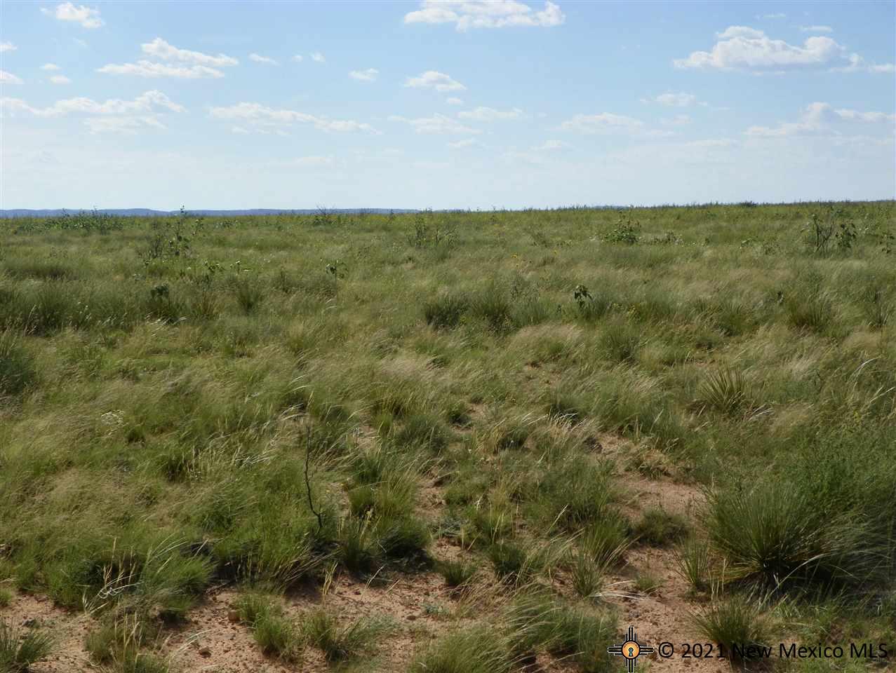 5F Lot Quay Road Ai, Tucumcari, New Mexico image 9