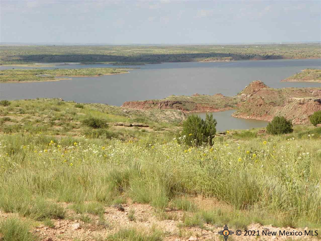 5F Lot Quay Road Ai, Tucumcari, New Mexico image 8