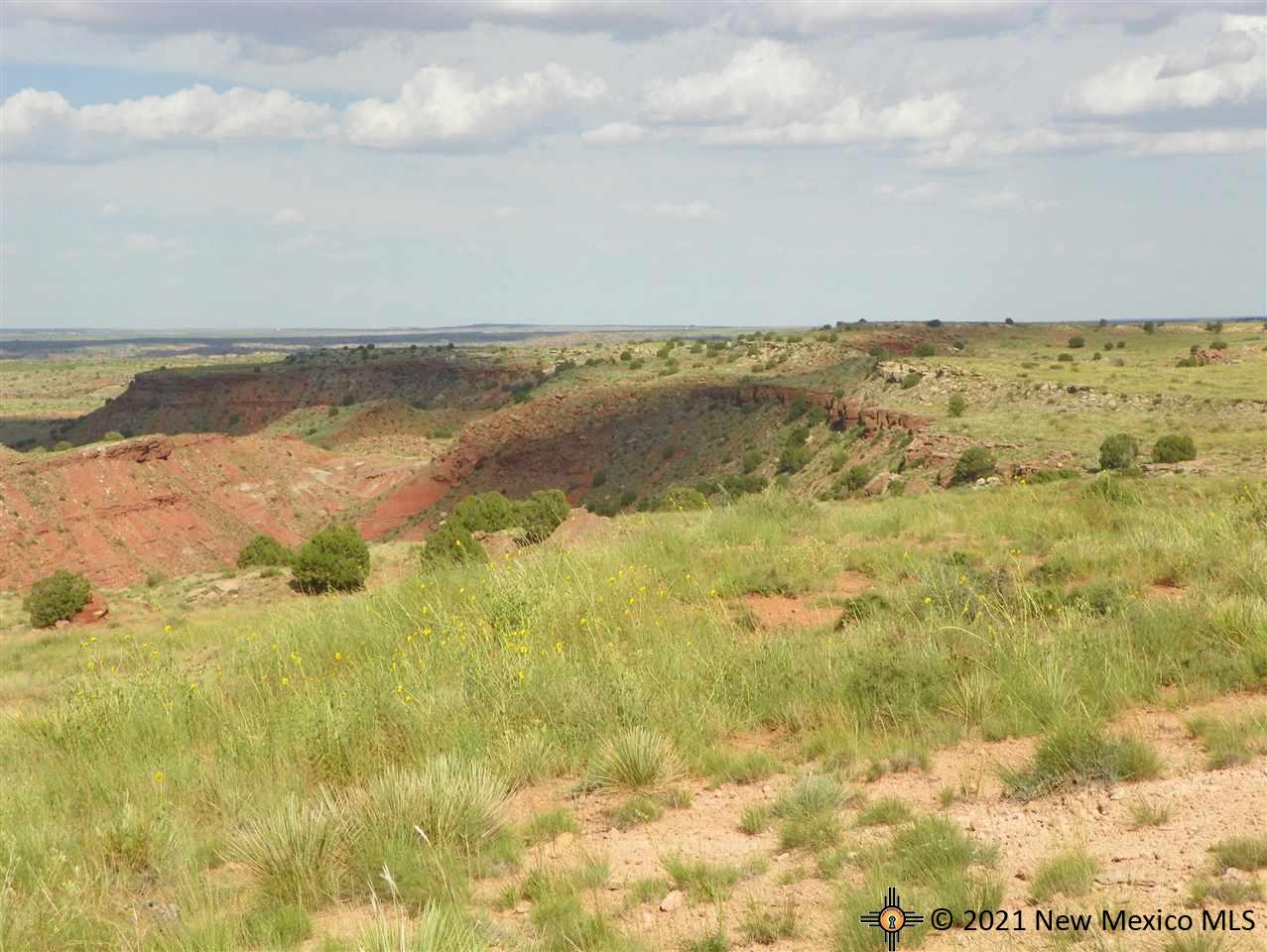 5F Lot Quay Road Ai, Tucumcari, New Mexico image 12