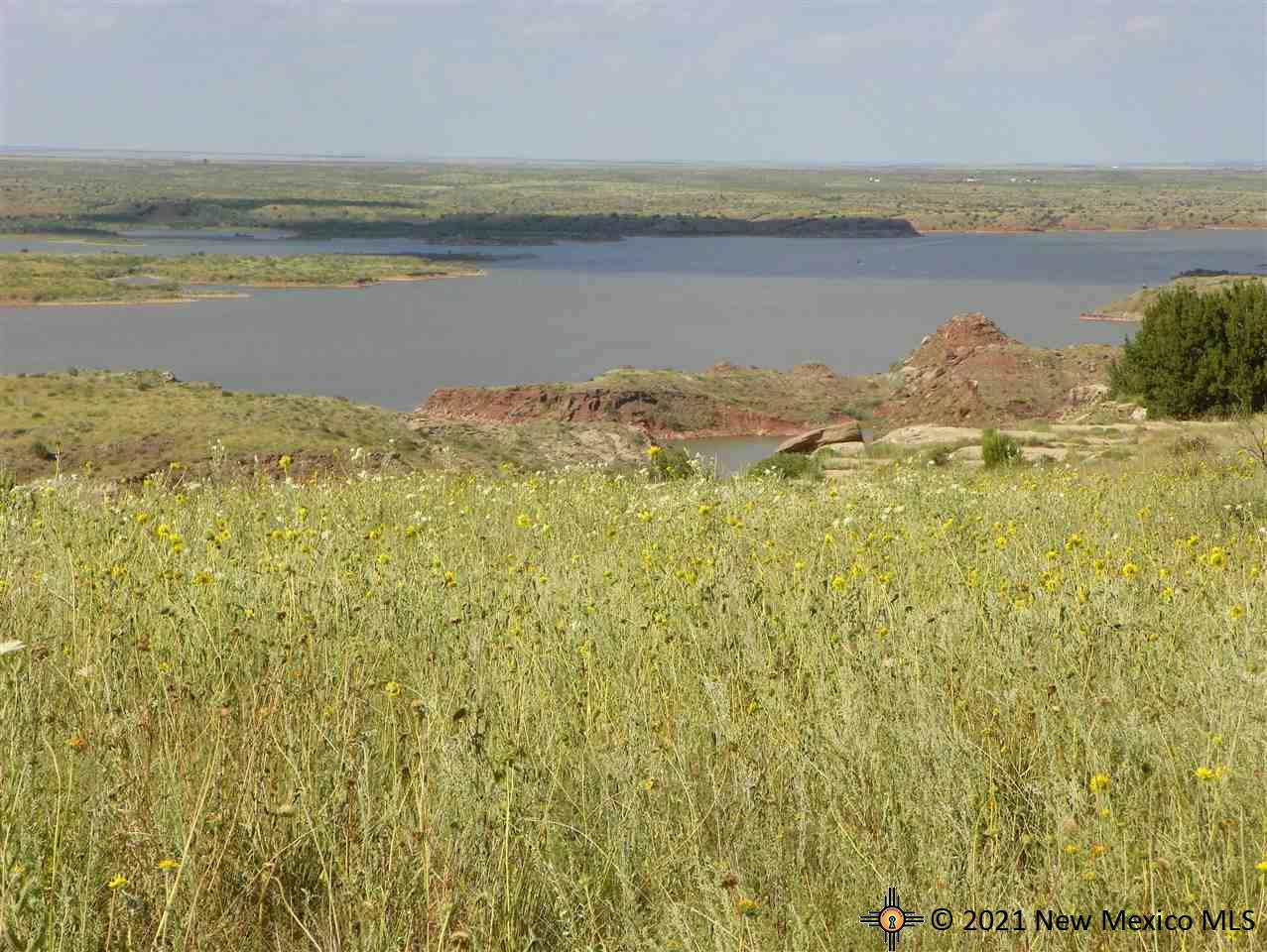 5F Lot Quay Road Ai, Tucumcari, New Mexico image 1