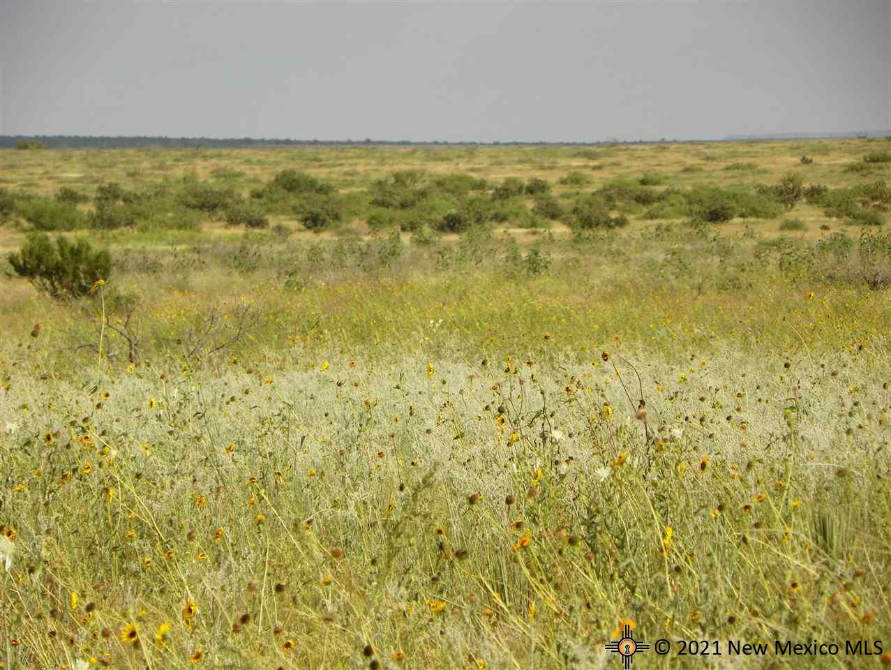 5F Lot Quay Road Ai, Tucumcari, New Mexico image 4