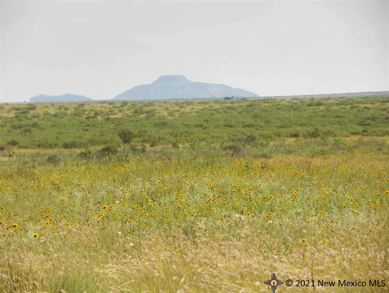 5F Lot Quay Road Ai, Tucumcari, New Mexico image 7