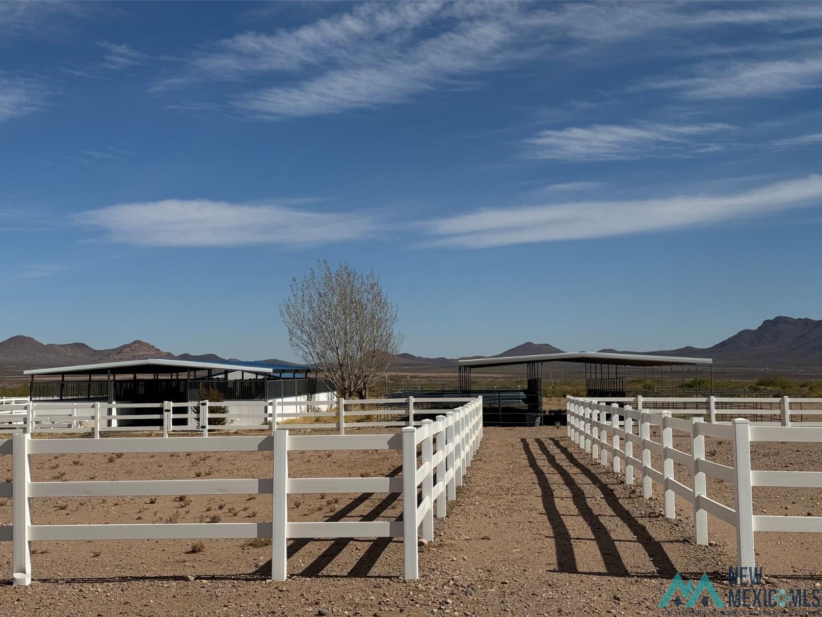 TBD Caballo Drive, Rodeo, Texas image 6