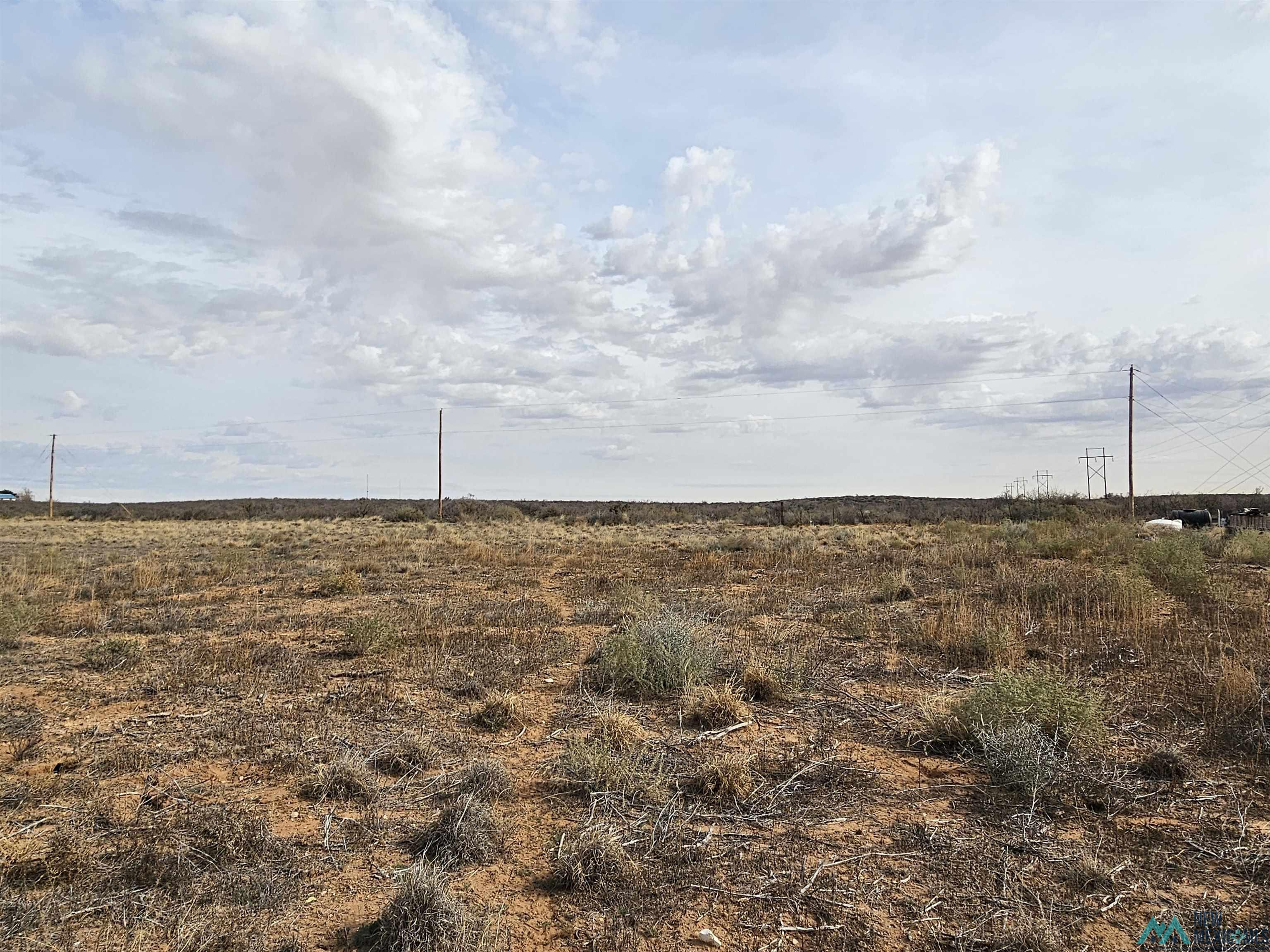 2018-5 Mission Avenue, Carlsbad, New Mexico image 4