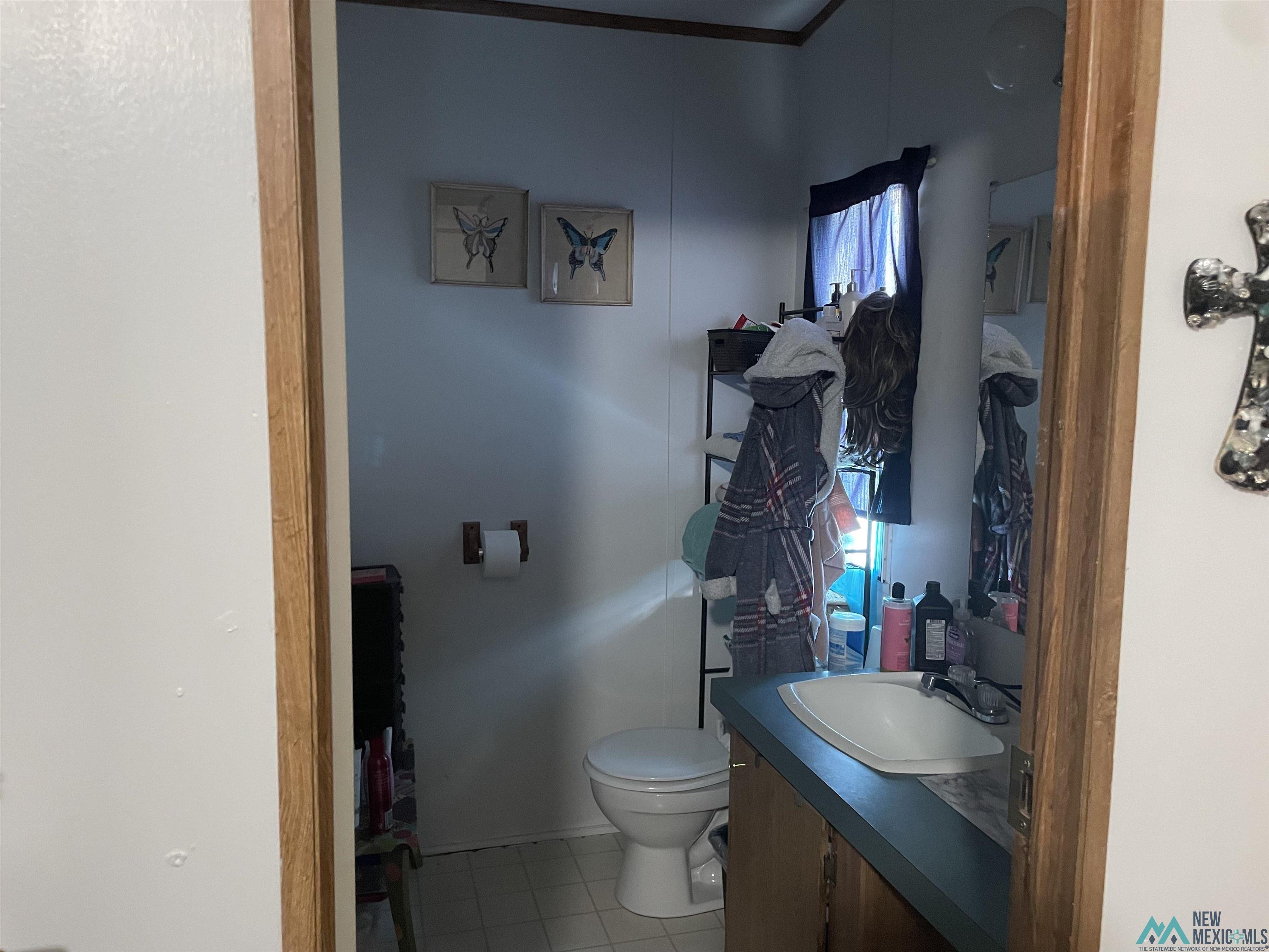 691 Vans G Avenue, Portales, New Mexico image 26