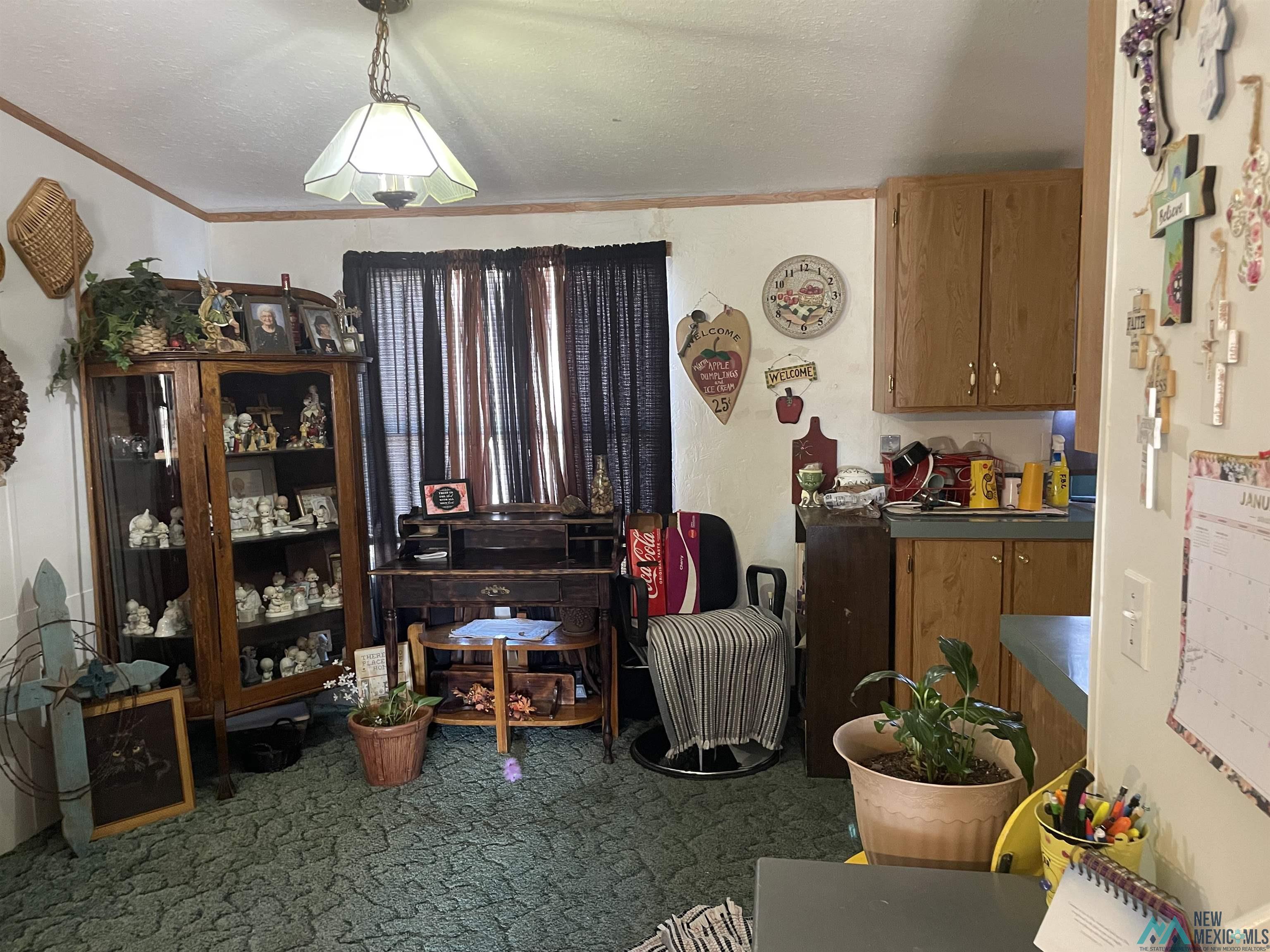 691 Vans G Avenue, Portales, New Mexico image 25