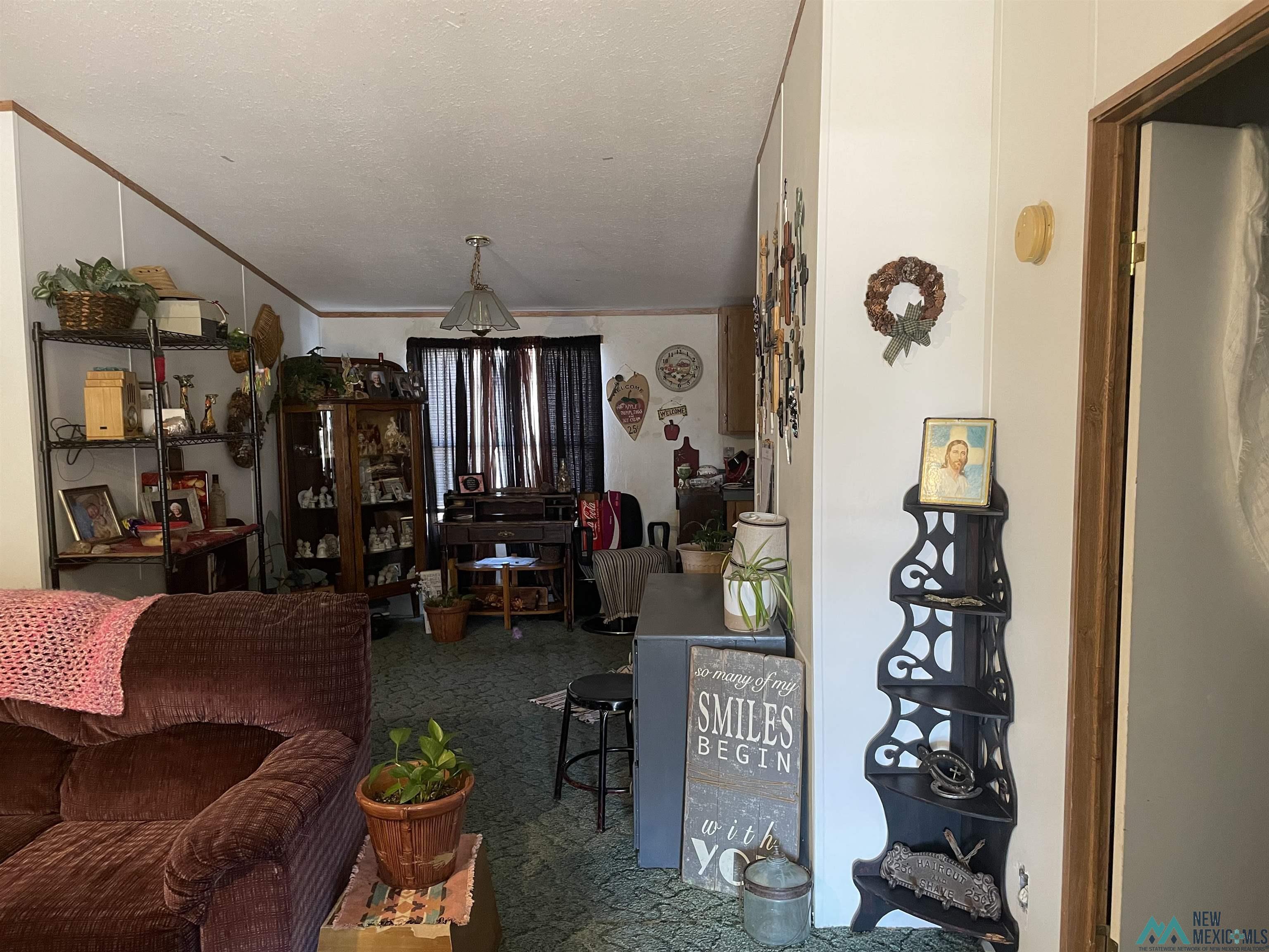691 Vans G Avenue, Portales, New Mexico image 23