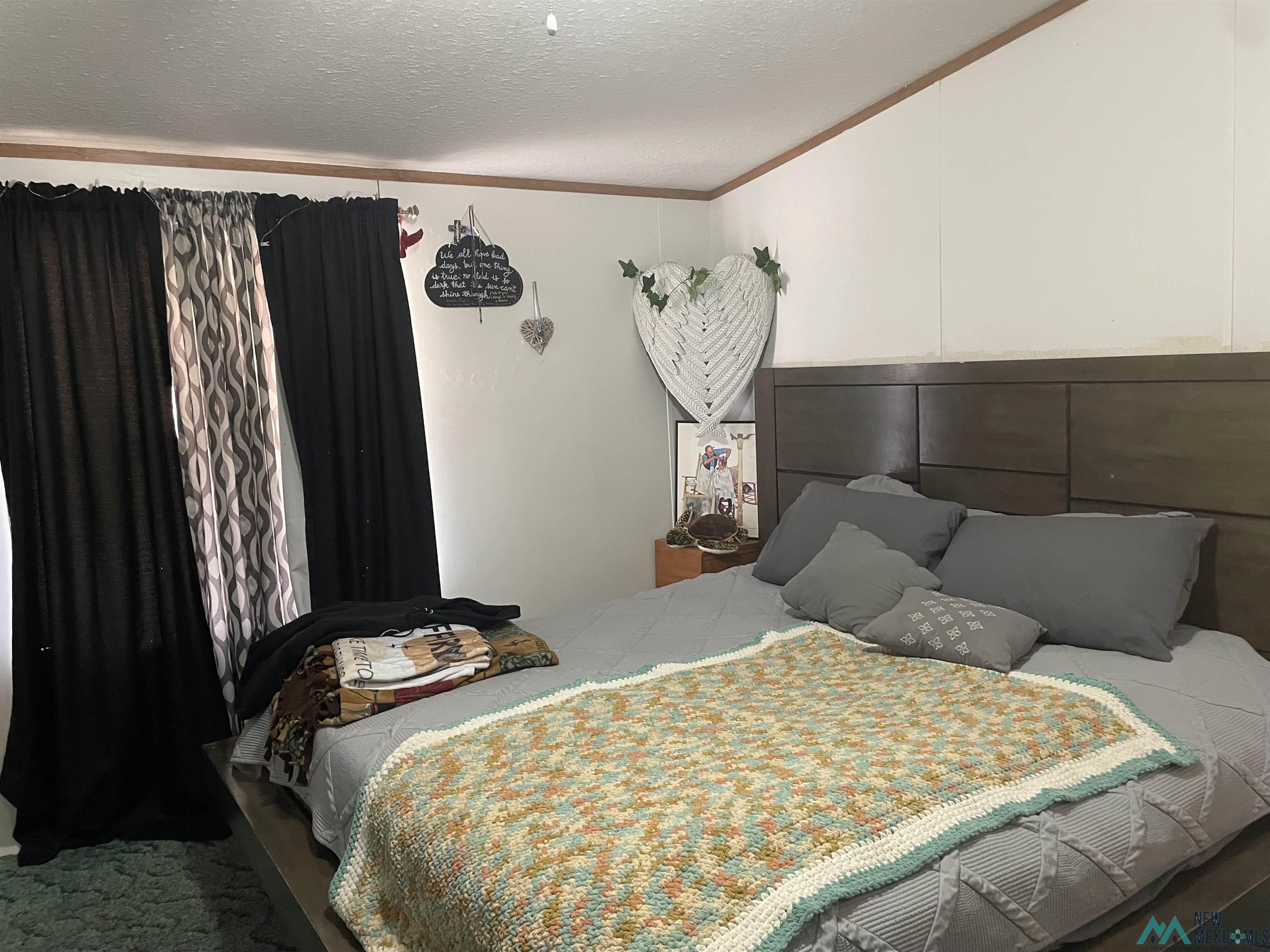 691 Vans G Avenue, Portales, New Mexico image 27