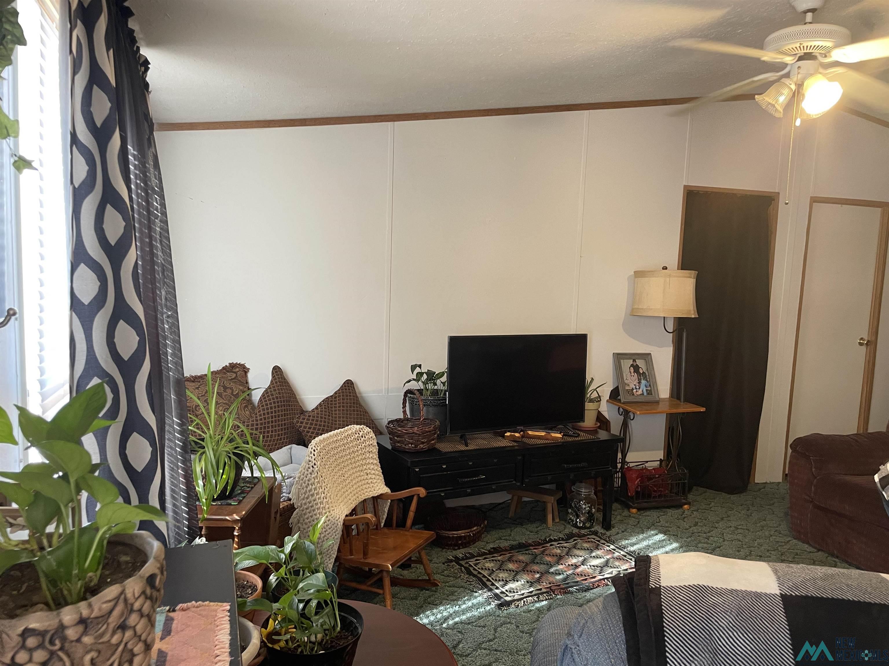 691 Vans G Avenue, Portales, New Mexico image 21