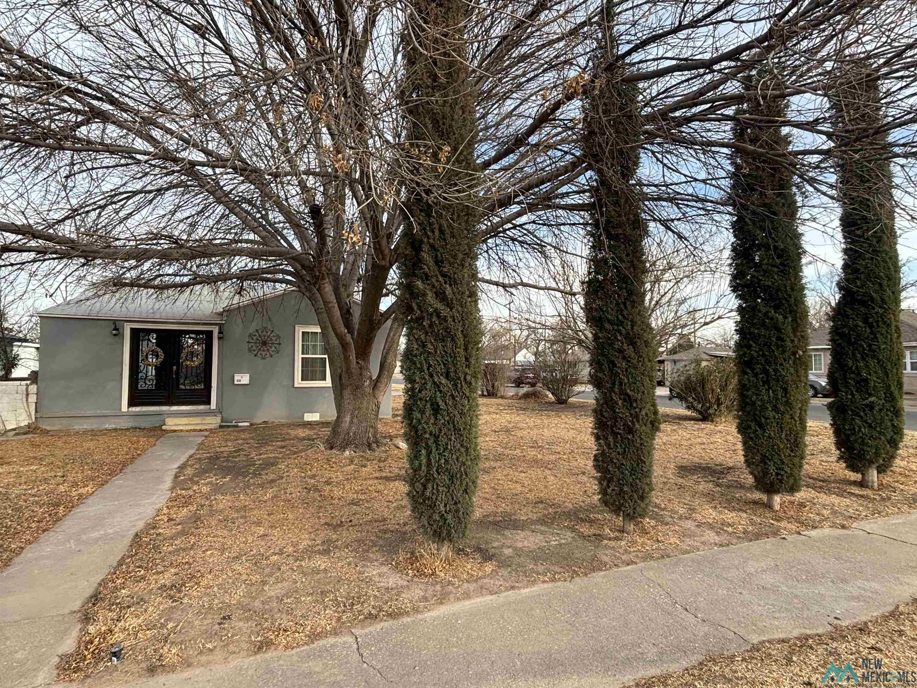 414 S Mesa Street, Carlsbad, Texas image 25