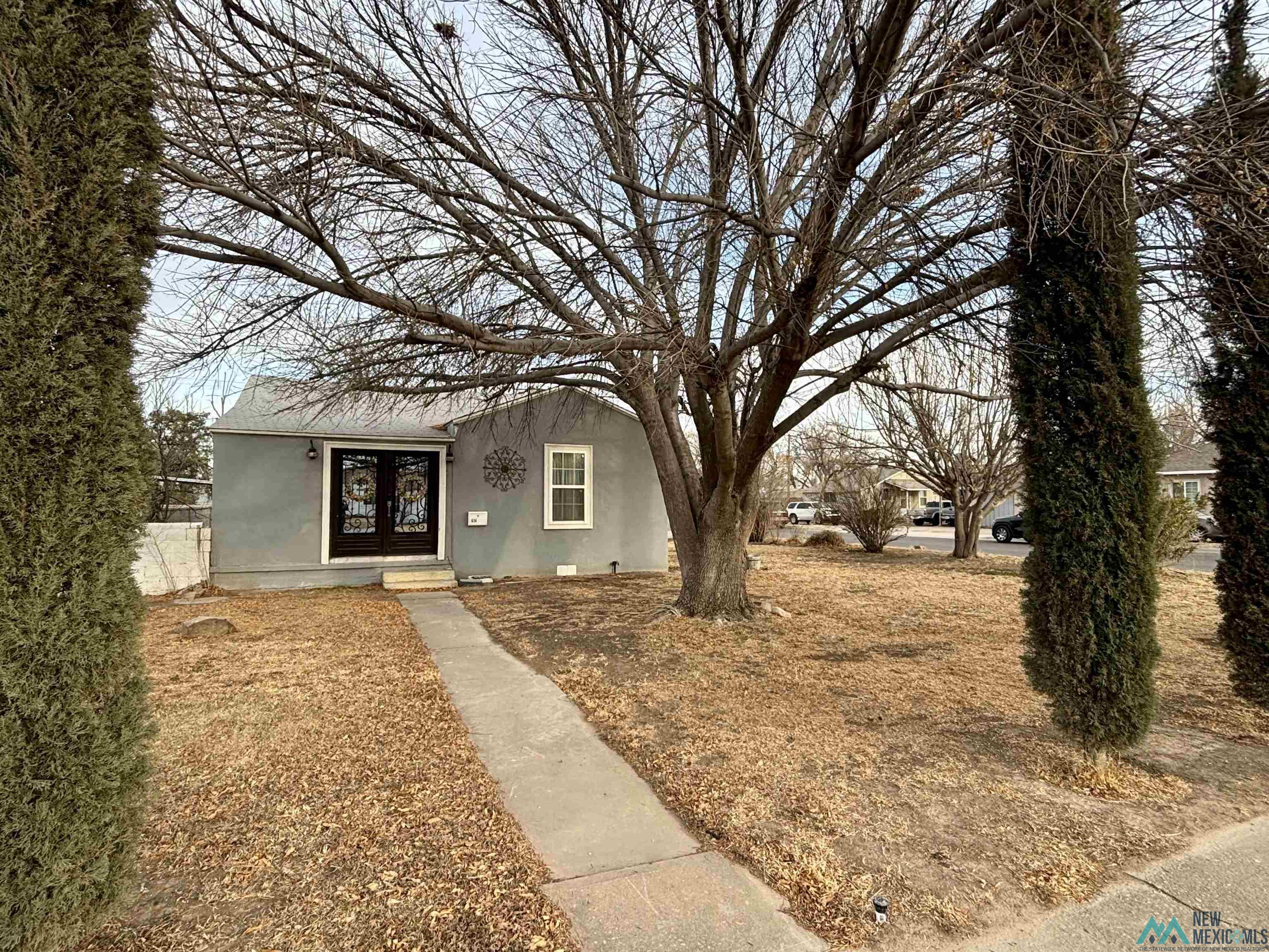 414 S Mesa Street, Carlsbad, Texas image 1