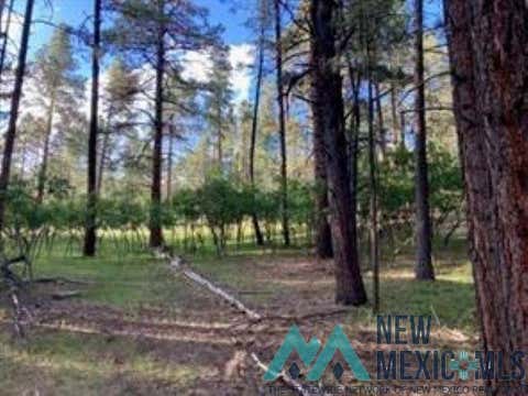 Vacant Land For Sale - TBD Waterline Road<br/> Chama, NM 87520