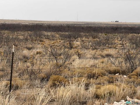 Vacant Land For Sale - TBD Pearl Road<br/> Hobbs, NM 88240