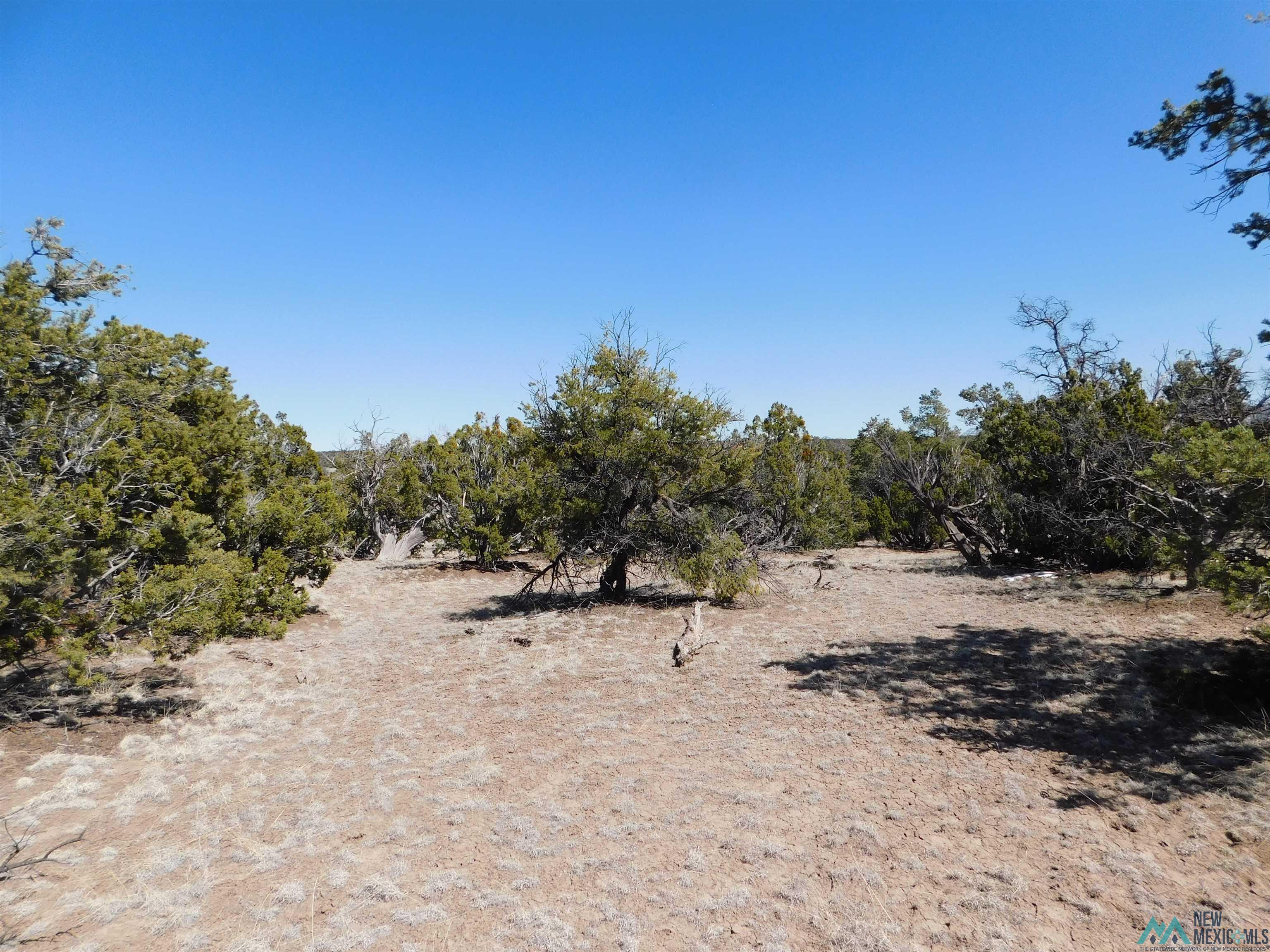 LOT 70 Creekside Drive, Quemado, New Mexico image 10