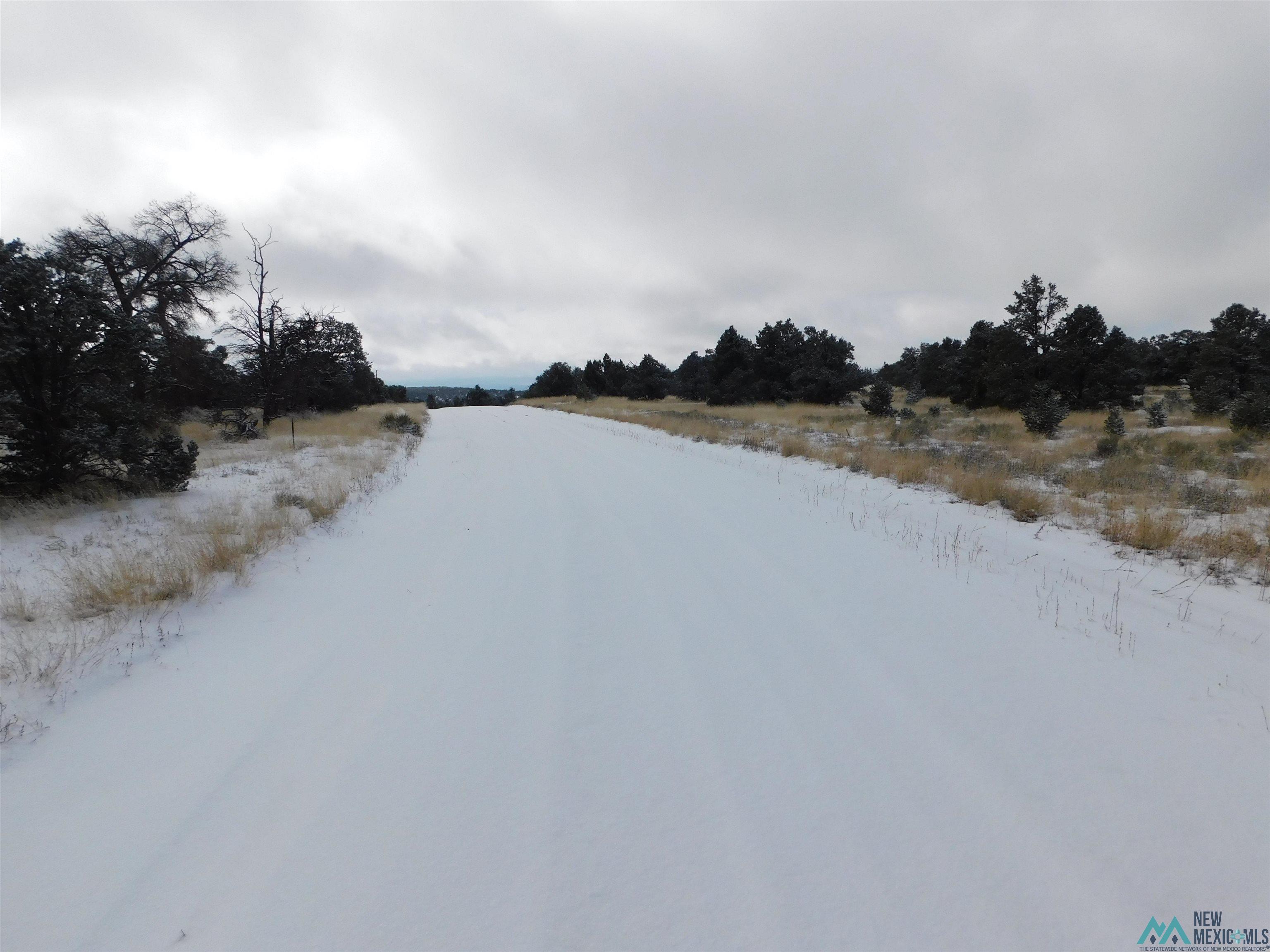 LOT 70 Creekside Drive, Quemado, New Mexico image 14